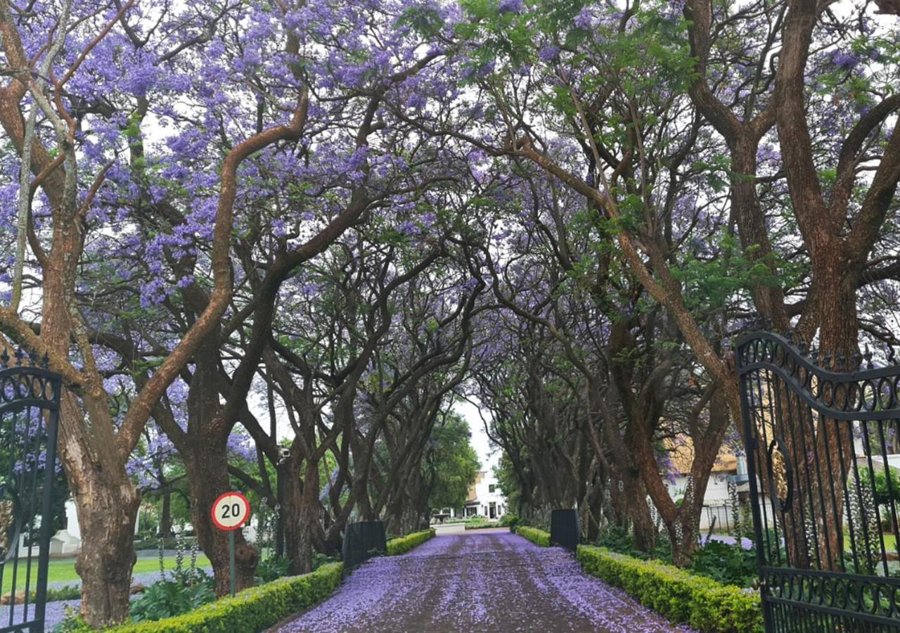 Kievits Kroon Gauteng Wine Estate Претория Экстерьер фото