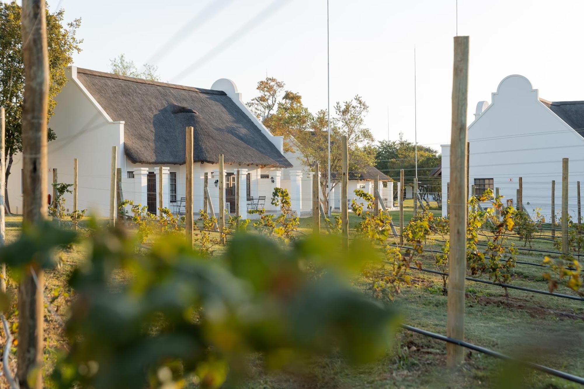 Kievits Kroon Gauteng Wine Estate Претория Экстерьер фото